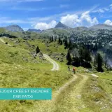 Sentier de montagne verdoyant, le chemin des hirondelles serpente vers des sommets majestueux sous un ciel bleu.