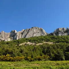 Les dentelles de Montmirail se dressent fièrement sous un ciel bleu, couronnant une colline verdoyante et des vignobles ensoleillés.