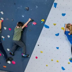 Trois enfants s'amusent lors d'une bloc session à Vienne, grimpant sur un mur coloré avec des prises variées.