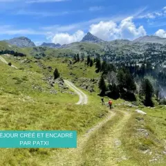 Sentier de montagne verdoyant, le chemin des hirondelles serpente vers des sommets majestueux sous un ciel bleu.