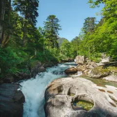 Le chemin des cascades à Cauterets serpente à travers une forêt luxuriante, longeant une rivière aux eaux vives et aux rochers sculptés par le temps.