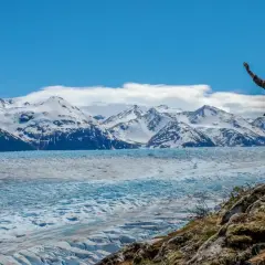 Un homme bras levés devant un glacier immense et des montagnes enneigées de la Patagonie.