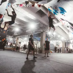 Des grimpeurs s'entraînent sur un mur d'escalade intérieur, simulant un **block Alpes** avec des prises colorées.