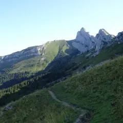 Sentier de randonnée au Col Vert, Villard de Lans. Paysage de montagne verdoyant avec falaises rocheuses et forêt.
