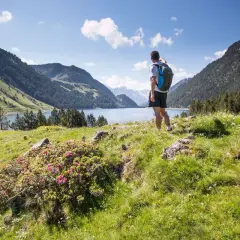 Randonneur admirant un lac bleu entouré de montagnes verdoyantes et de fleurs roses dans le **parque nacional de los Pirineos**.