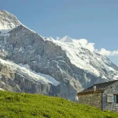 Deux randonneurs traversent une prairie verdoyante, avec un chalet en bois et les majestueux sommets de l'Eiger et de la Jungfrau en toile de fond.