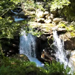 Une cascade de Luchon, entourée de verdure et de rochers moussus, dévale dans un torrent scintillant sous le soleil.
