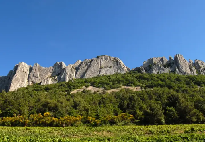 Les dentelles de Montmirail se dressent fièrement sous un ciel bleu, couronnant une colline verdoyante et des vignobles ensoleillés.