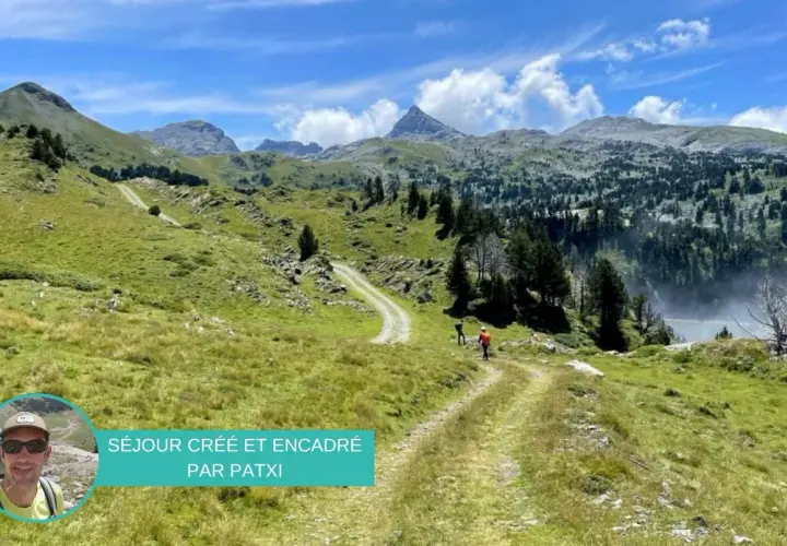 Sentier de montagne verdoyant, le chemin des hirondelles serpente vers des sommets majestueux sous un ciel bleu.
