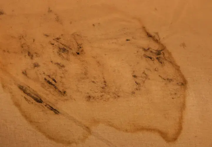 Tache de moisissure sur une toile de tente beige, indiquant la nécessité de nettoyer une toile de tente moisie.