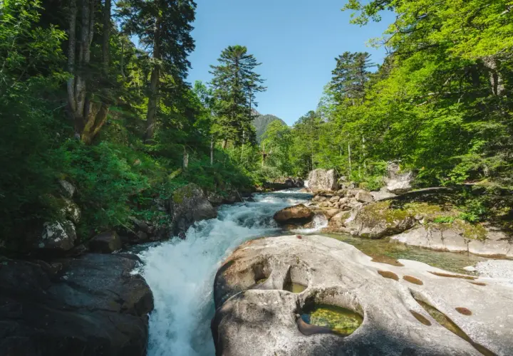 Le chemin des cascades à Cauterets serpente à travers une forêt luxuriante, longeant une rivière aux eaux vives et aux rochers sculptés par le temps.