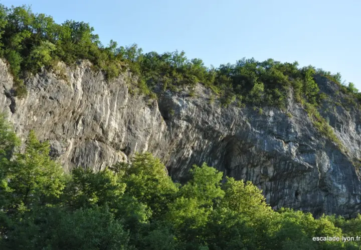 Falaise rocheuse imposante, la balme de Yenne offre un spectacle naturel saisissant, couronnée de verdure sous un ciel bleu.