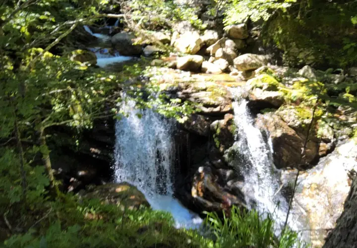 Une cascade de Luchon, entourée de verdure et de rochers moussus, dévale dans un torrent scintillant sous le soleil.