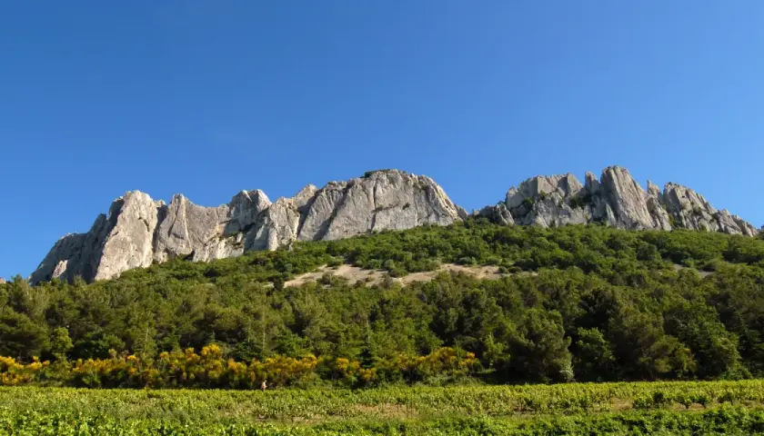 Les dentelles de Montmirail se dressent fièrement sous un ciel bleu, couronnant une colline verdoyante et des vignobles ensoleillés.