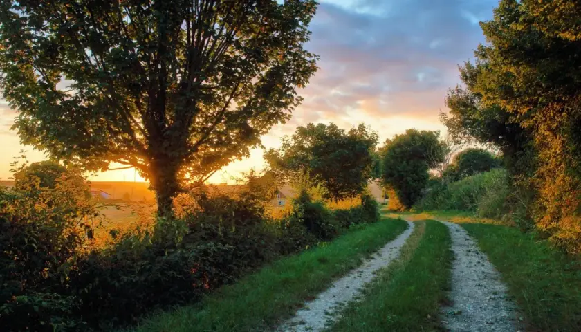 Chemin de terre bordé d'arbres, idéal pour des randonnées autour de Paris au coucher du soleil.