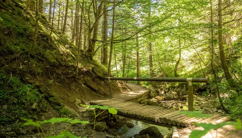 Chemin forestier ensoleillé, idéal pour une balade familiale à Villard-de-Lans, avec un pont en bois traversant un ruisseau.