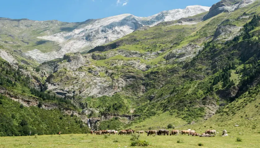 Un troupeau de chevaux broute paisiblement dans les **llanos de la Larri**, au pied de montagnes verdoyantes et rocheuses.