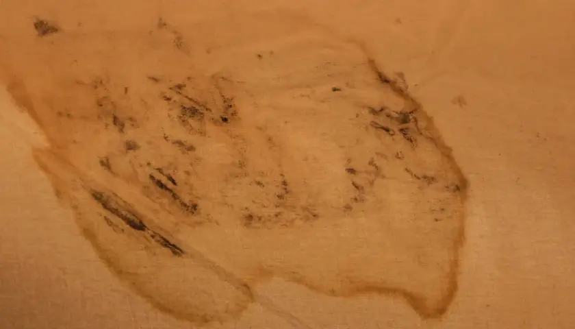 Tache de moisissure sur une toile de tente beige, indiquant la nécessité de nettoyer une toile de tente moisie.
