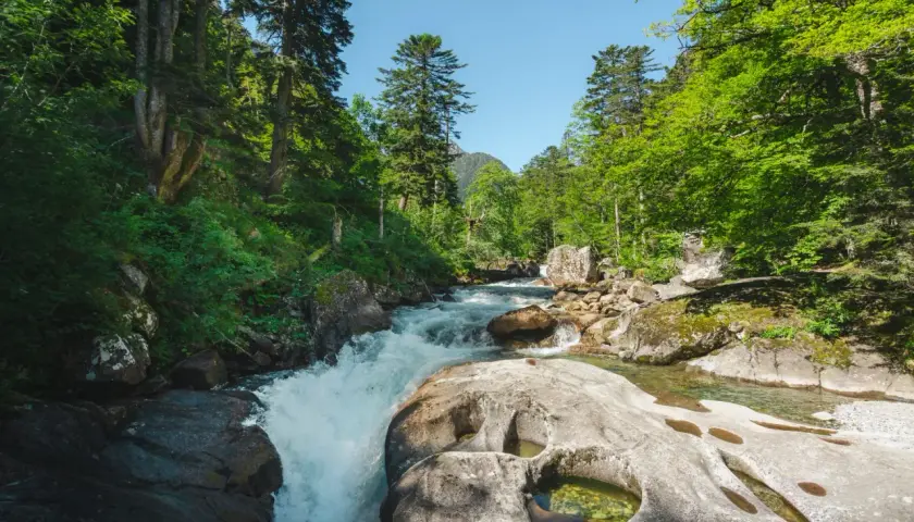 Le chemin des cascades à Cauterets serpente à travers une forêt luxuriante, longeant une rivière aux eaux vives et aux rochers sculptés par le temps.