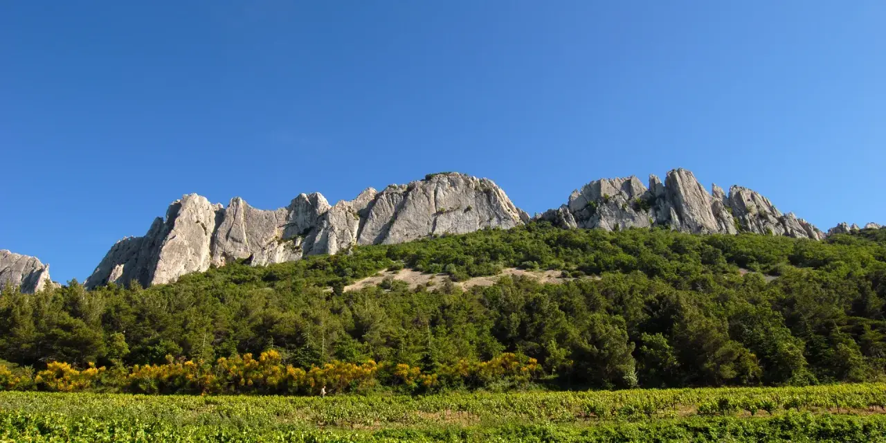 Les dentelles de Montmirail se dressent fièrement sous un ciel bleu, couronnant une colline verdoyante et des vignobles ensoleillés.