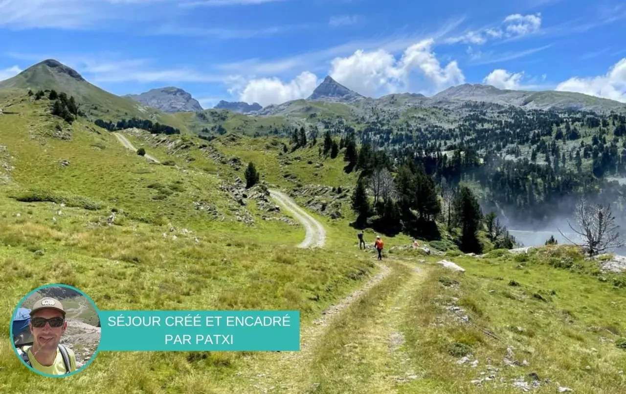 Sentier de montagne verdoyant, le chemin des hirondelles serpente vers des sommets majestueux sous un ciel bleu.