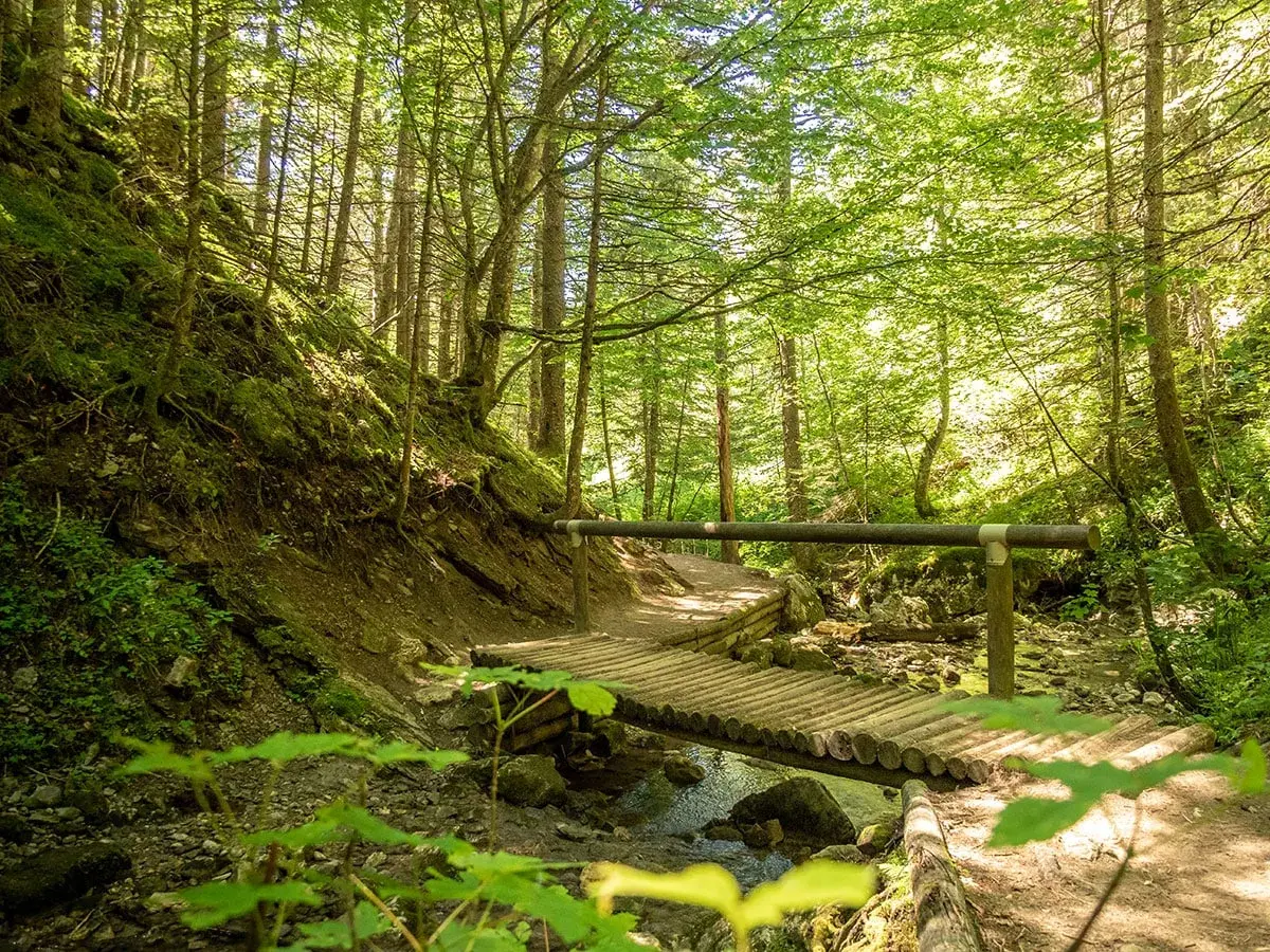 Chemin forestier ensoleillé, idéal pour une balade familiale à Villard-de-Lans, avec un pont en bois traversant un ruisseau.