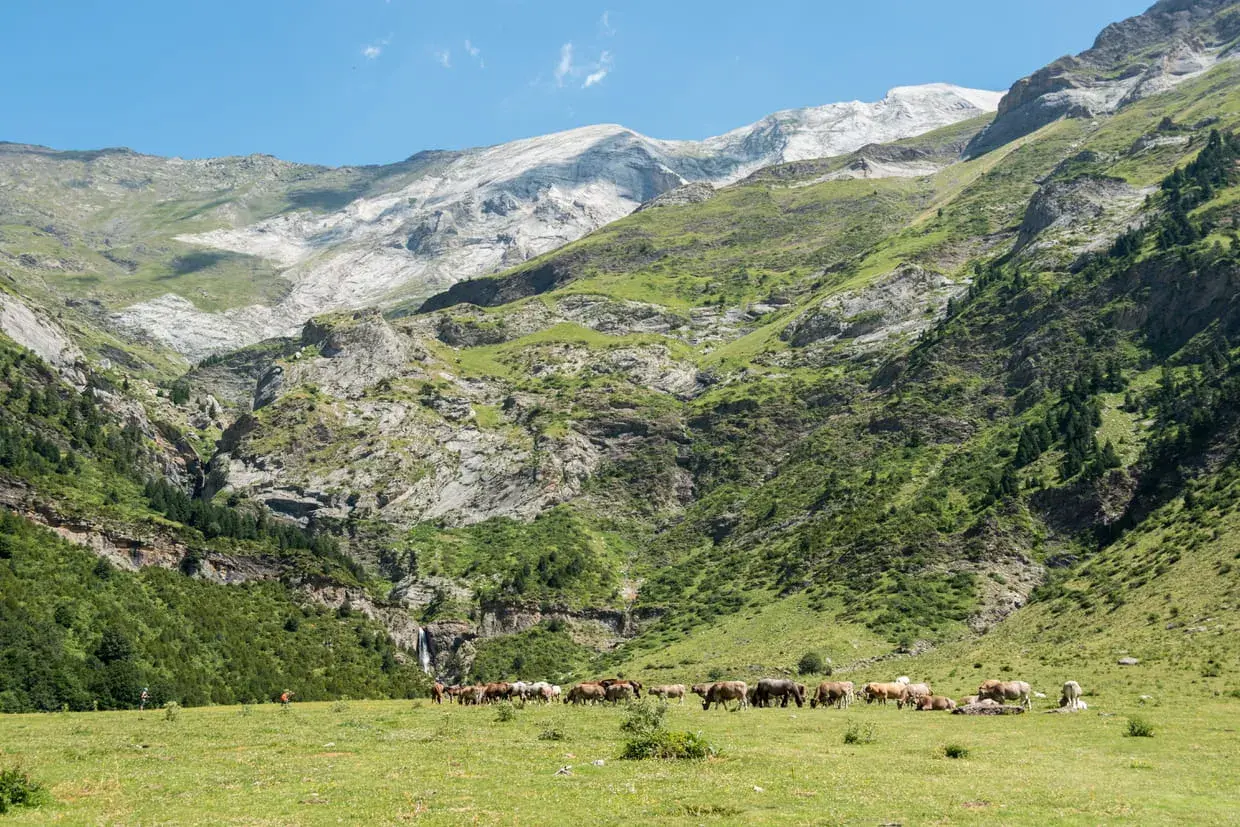 Un troupeau de chevaux broute paisiblement dans les **llanos de la Larri**, au pied de montagnes verdoyantes et rocheuses.