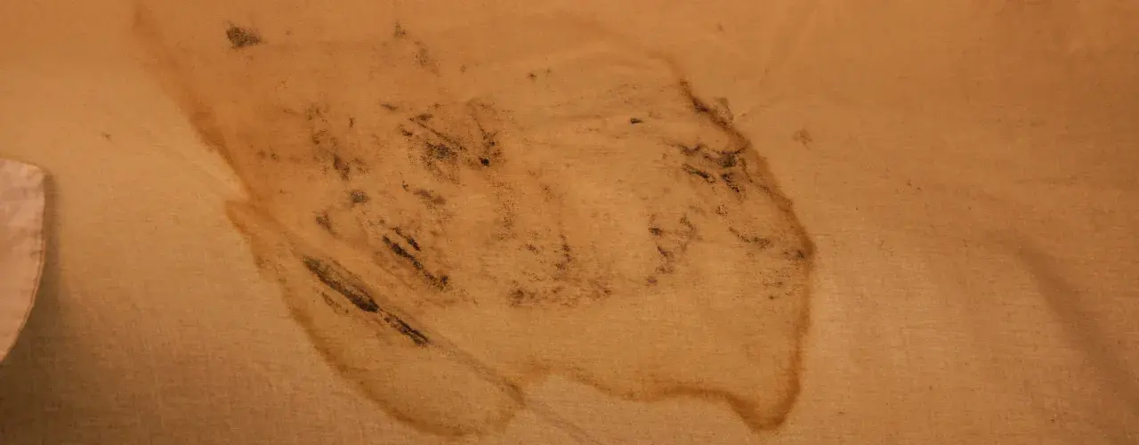 Tache de moisissure sur une toile de tente beige, indiquant la nécessité de nettoyer une toile de tente moisie.