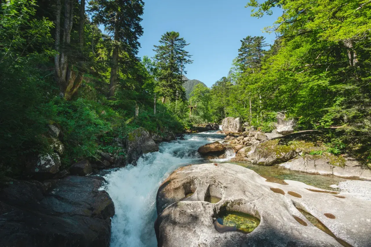 Le chemin des cascades à Cauterets serpente à travers une forêt luxuriante, longeant une rivière aux eaux vives et aux rochers sculptés par le temps.