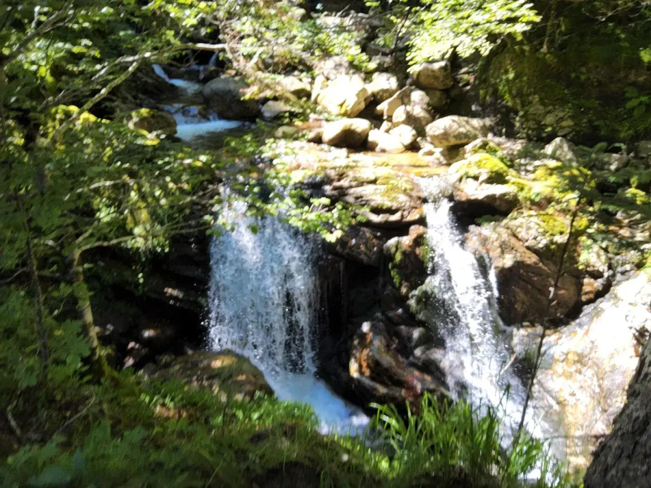 Une cascade de Luchon, entourée de verdure et de rochers moussus, dévale dans un torrent scintillant sous le soleil.