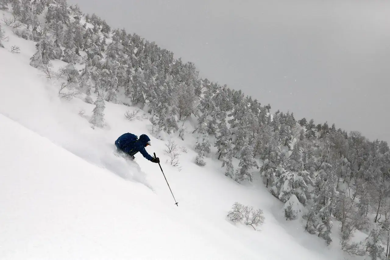 Un skieur en K2 Wayback 106 d&eacute;vale une pente enneig&eacute;e, entour&eacute; d'arbres couverts de givre.