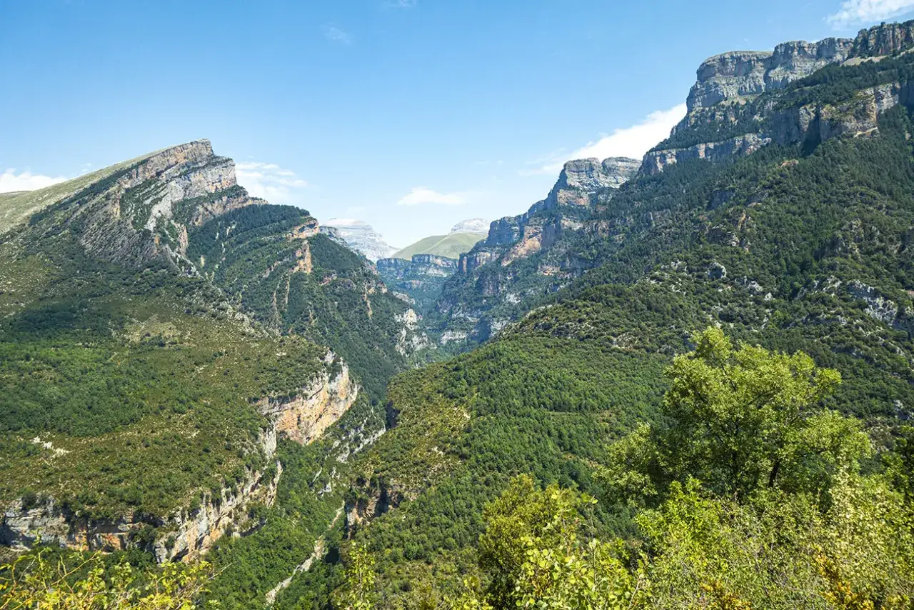Vue spectaculaire du Ca&ntilde;on de A&ntilde;isclo, avec ses falaises abruptes et ses pentes couvertes de for&ecirc;ts luxuriantes sous un ciel bleu clair.