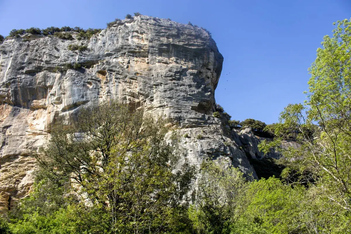 Falaise imposante, id&eacute;ale pour l'escalade pertuis. Des arbres verdoyants bordent la paroi rocheuse sous un ciel bleu &eacute;clatant.