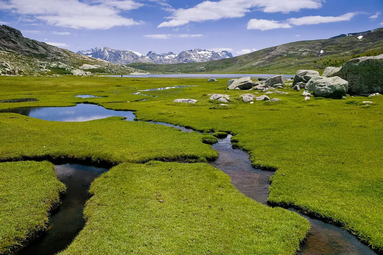 Vaste prairie verdoyante traversée par un ruisseau, avec des mares et des rochers. Au loin, un lac et des montagnes enneigées. Paysage typique du GR20 partie sud.