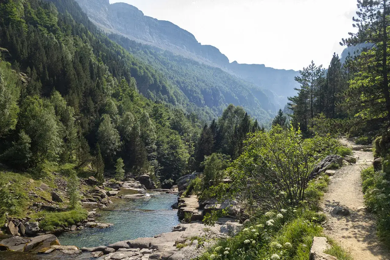 Sentier de randonnée sinueux longeant une rivière aux eaux claires, bordé de forêts denses et de montagnes majestueuses. La