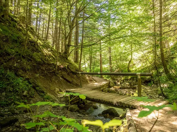Chemin forestier ensoleillé, idéal pour une balade familiale à Villard-de-Lans, avec un pont en bois traversant un ruisseau.